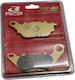 Подложки Fa464 Yamaha Криптон 135/Криптон 110 Rcb Racing Boy S2-d2 Series Златни