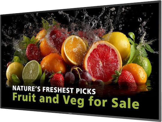 Philips 98BDL5050D/00 Public Display 98" LCD 4K UHD