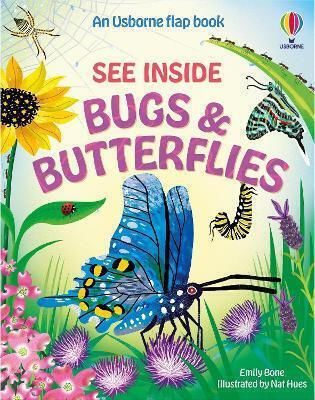 Siehe Innen Insekten Und Schmetterlinge - Usborne Publishing Ltd - Pappbuch