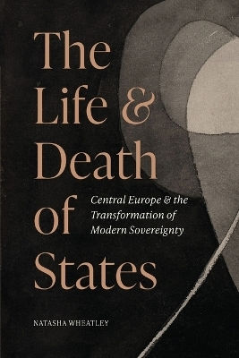 The Life And Death Of States Central Europe And The Transformation Of Modern Sovereignty Natasha Wheatley