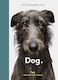 New Photography Of The Dog Jilke Golbach Hoxton Mini Press