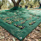 Kraft World Olive Sail from HDPE 8x14m Density 95gr/m²