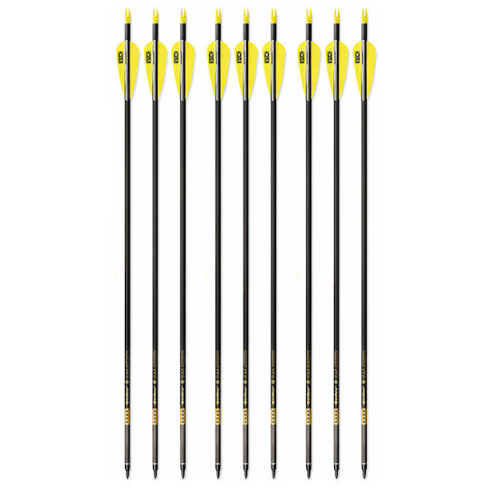 Set 9 Săgeți Arc Compus 6.2 Mm Tub Fibra De Carbon Spine 300 Lungime 32 Inch 27 Gr Săgeată Pandarus