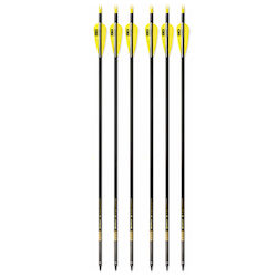 Set 6 Săgeți Arc Compus 6.2 Mm Tub Fibra De Carbon Spine 300 Lungime 32 Inch 27 Gr Săgeată Pandarus