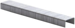 Rapid Rapid Bürobedarf 50972908