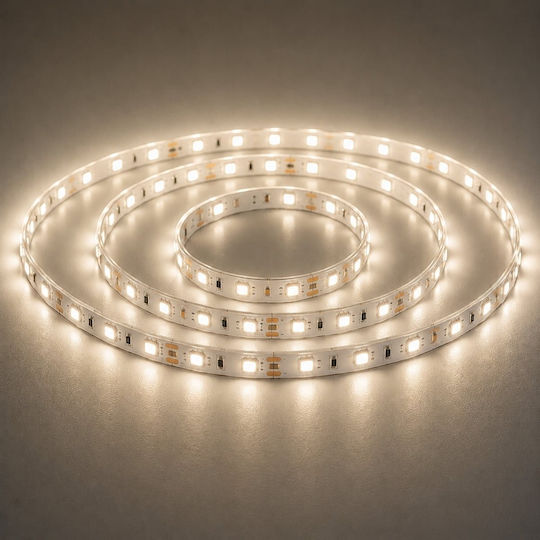 Led7 LED Лента 24V Неутрална Бяла Светлина 10m Тип SMD2835