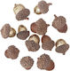 Acorns Glitter Natural 12 Pcs