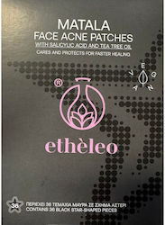 Etheleo Pickel-Patches