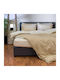 Single Duvet Cover Set 165x245 2 Sided Naf-naf Hue Safari Birch