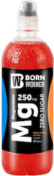 Born Winner Магнезиева Напитка 250mg 700ml Пъпеш С Лимон Born Winner Магнезиева Напитка 250mg 700ml Пъпеш С Лимон