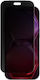 Amazingthing Titan +care Matte Privacy Glass Iphone 18 Pro Mounting Frame Ip18pmpfgla