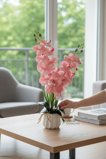 Stewehome Orhidee Artificială Cu Două Sucursale Textură Umedă Ghiveci Alb Modern Înălțime 51-80 Cm
