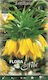 Flora Elite Frittillaria Bulb