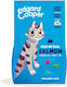 Edgard Cooper Nasses Katzenfutter für Erwachsene Katzen mit Lachs 325g