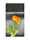 Künstliche Orange Butterblume 50cm