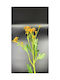 Dekorative Künstliche Blumen Chrysantheme Kleine Gelbe 70cm