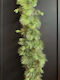 Christmas Green Garland