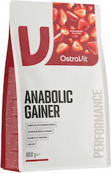 OstroVit Anabolic Gainer OstroVit Anabolic Gainer