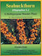 Seabuckthorn (hippophae L.): A Multipurpose Wonder Plant (vol.1): Botany, Harvesting &amp; Processing Technologies