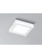 Fan Europe Square LED Panel 12W with Warm White Light 3000K