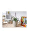 Mentor Kunststoff Blumentopf Diamond 2900 D30 014 30x30 cm
