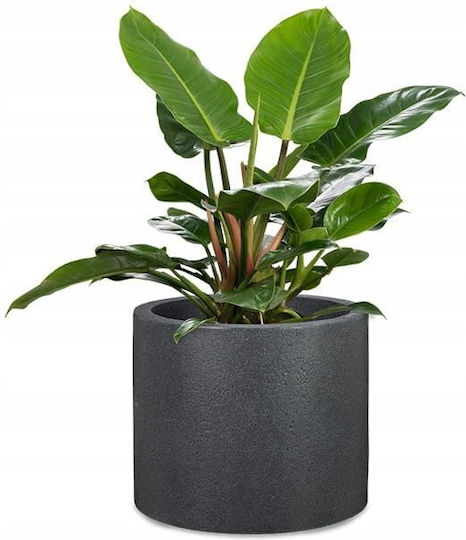 Lumarko Ghiveci De Flori Din Plastic Negru Granit 30x30 Cm