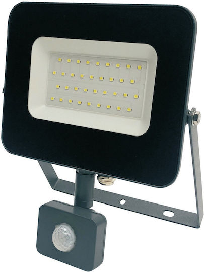 Standart Wasserdichter LED Flutlichter 30W mit Bewegungssensor IP65