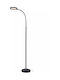 Domoletti Domoletti Stehlampe Y160xM18cm Schwarz