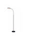 Domoletti Floor Lamp H160xW18cm Black
