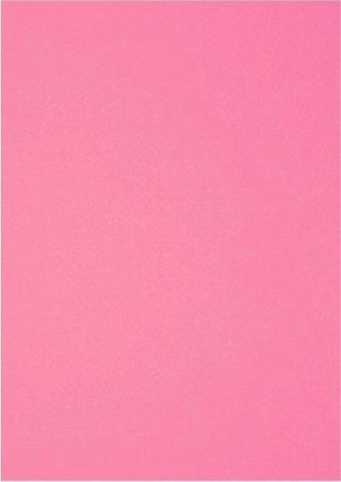 Polsirhurt Διακοσμητικά Τσόχινα Στοιχεία Ροζ 20x30cm 10τμχ