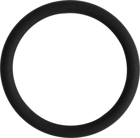 O-δακτύλιος Αισθητήρα Cam Wsm Performace Parts 008-599-27