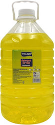 Detergent Lichid De Spălat Vase Avanti Economic 5 L