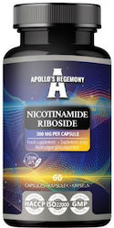 Apollo's Hegemony Hegemony Nicotinamide Riboside Besonderes Nahrungsergänzungsmittel 60 Kapseln