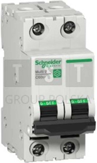 Schneider Μικροαυτόματος C60-ul1077-b10-2 M9f21210