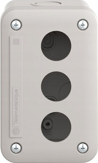 Schneider Electric Elettrocanali Anschlussdose Für Außenmontage IP54 In Grau