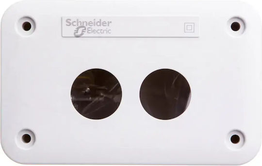 Schneider Electric Elettrocanali Anschlussdose Für Außenmontage IP54 In Grau