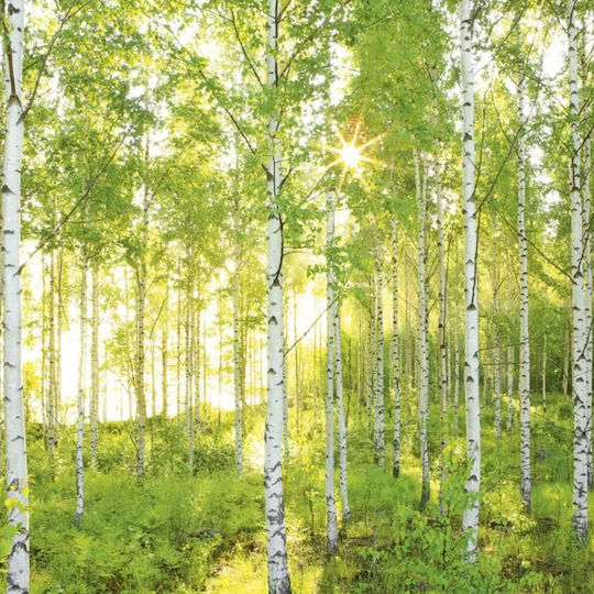 Tapet De Perete Hârtie Verde 368x254cm