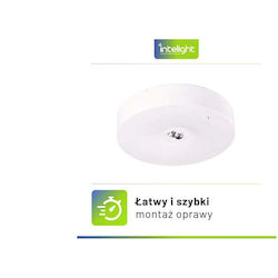 Intelight Сигнална светлина LED Intelight Сигнална светлина LED