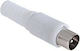 Lechpol Langes Koaxialstecker Wty0252 Lx5023p B