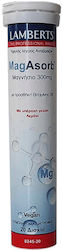 Lamberts Magasorb 300mg με Βιταμίνη B6 20 αναβρ...