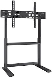 Techly ICA-TR130BK Boden TV-Halterung Bis 86 Zoll Techly ICA-TR130BK Boden TV-Halterung Bis 86 Zoll