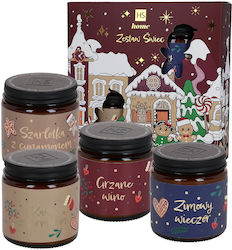 Weihnachtsgeschenkset Sojakerzen Set Burgundisch Weihnachten 4x100ml