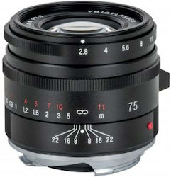 Voigtlander APO Skopar 75 mm f/2,8 για Leica M Μount Voigtlander APO Skopar 75 mm f/2,8 για Leica M Μount