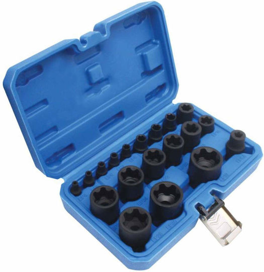 Satra Καρυδάκια Torx με Καρέ Υποδοχής 1/4", 3/8", 1/2" Σετ 19τμχ