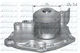 Dolz Water Pump R219