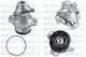 Dolz Water Pump R237