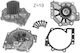 Dolz Water Pump V211