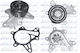 Dolz Water Pump T195