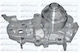 Dolz Water Pump R218