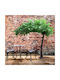 Ficus Artificial Smochin Indian 320cm Globostar 20186 Maro Verde